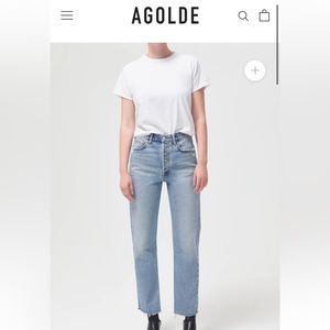 Agolde 90s Pinch Waist High Rise Straight in Ruminate